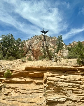 , Zion National Park, United States Of America