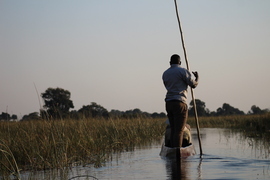, Jacana Camp / Okavango Delta, Botswana