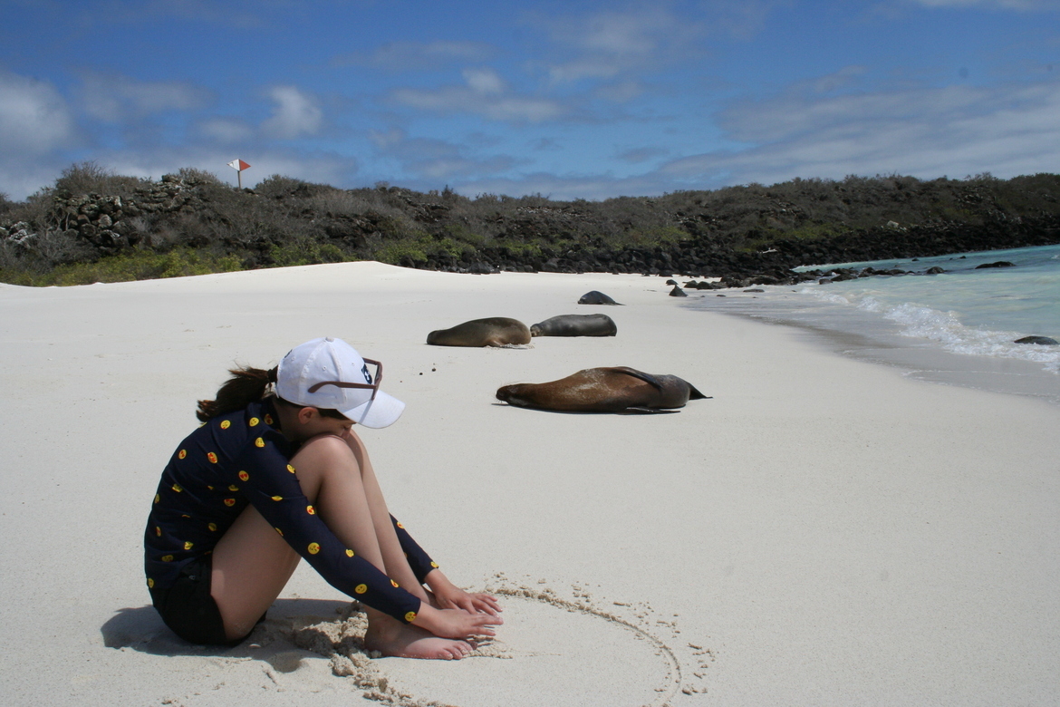 Sea Lion, Galapagos, Ecuador
