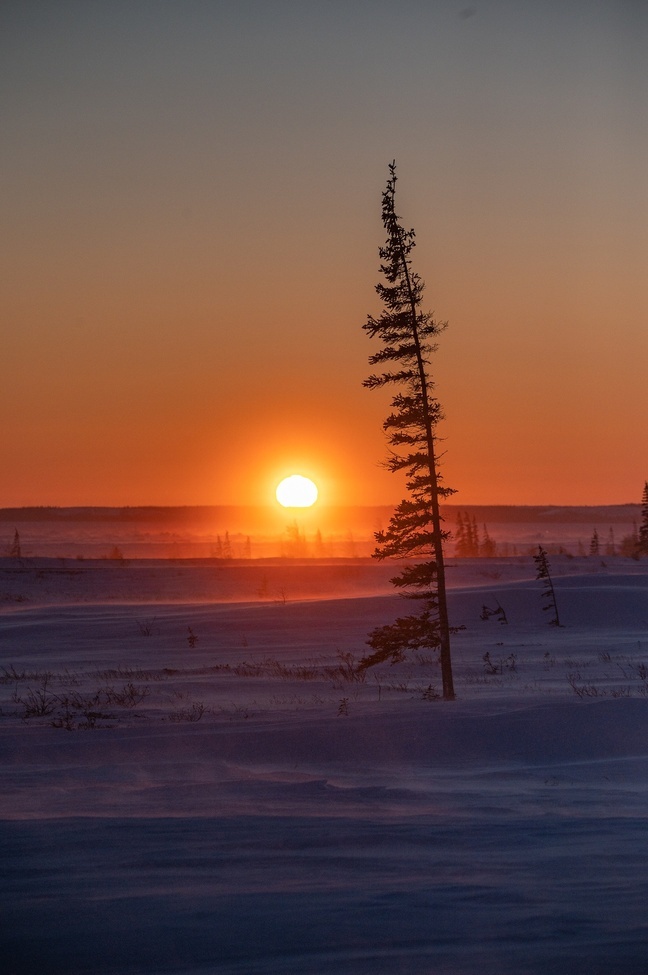 , Churchill, Canada
