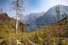 , Glacier Np, United States Of America