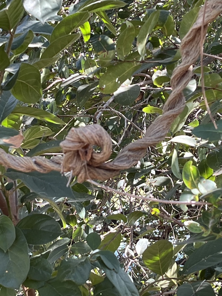 , Okavanga Delta, Botswana