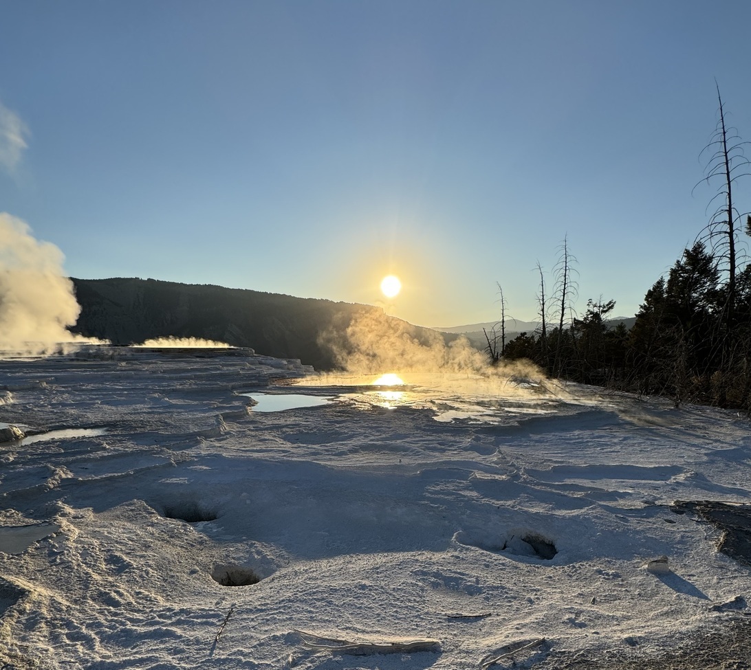 , Yellowstone National Park, United States Of America