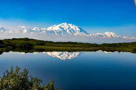 , Denali National Park, Alaska, Usa, United States Of America