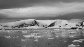 , Antarctica Peninsula, Antarctica
