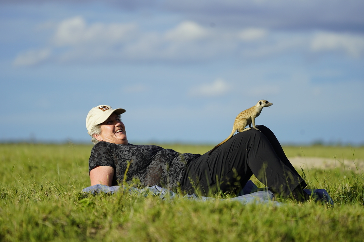 Meerkat, Okavanga Delta, Botswana