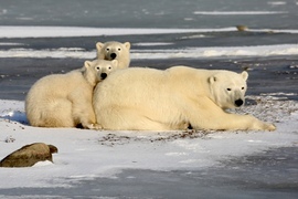 , Churchill, Canada