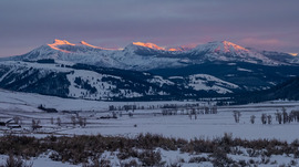 , Yellowatone National Park, United States Of America