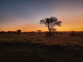 , Tanzania National Park, Tanzania, United Republic Of