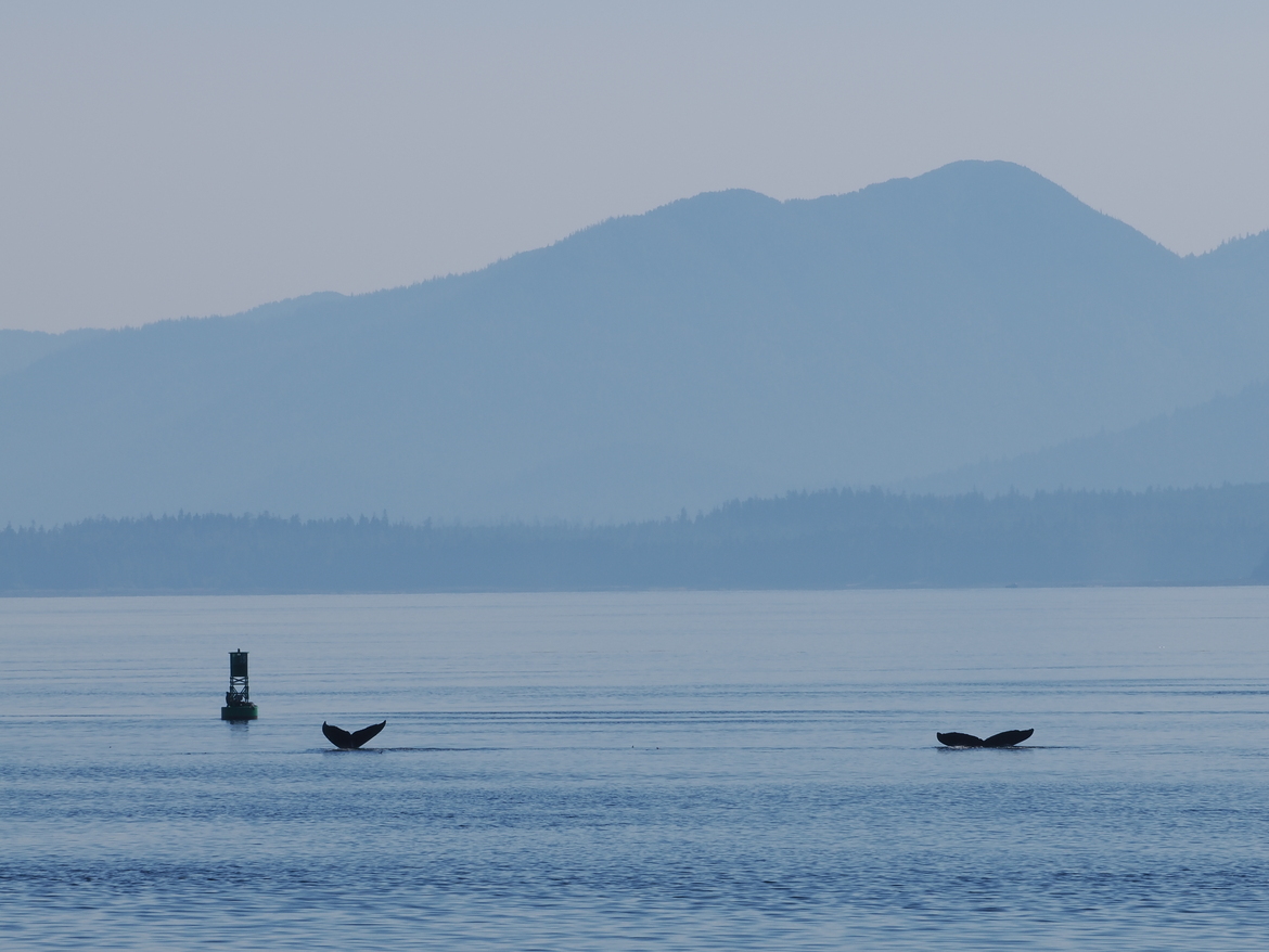 , Southeast Alaska, United States Of America