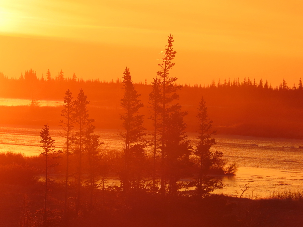 , Wapusk National Park, Canada