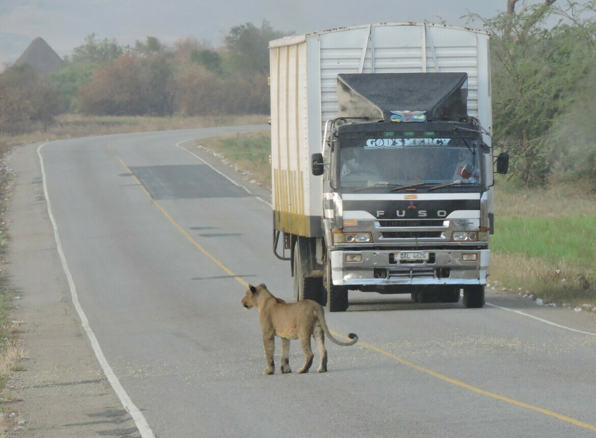 , Unsure, Uganda
