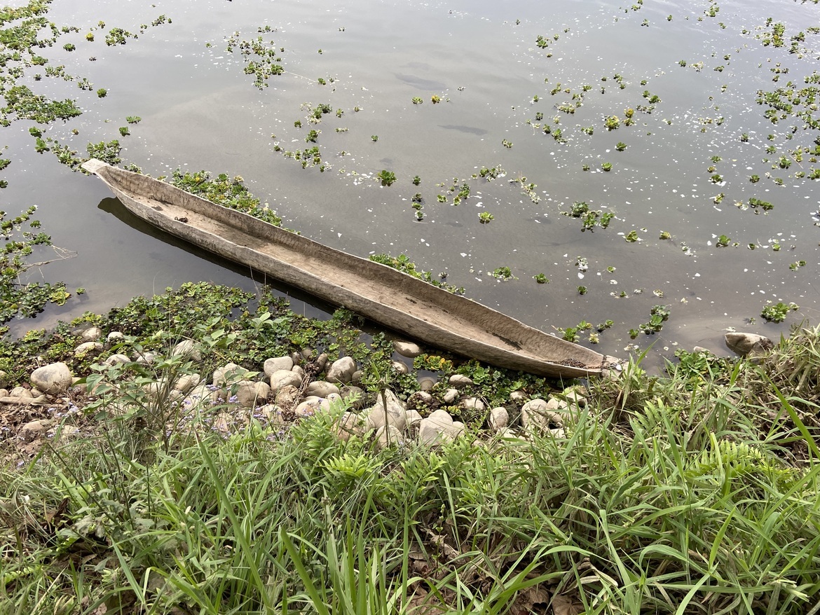 , Chitwan National Park, Nepal
