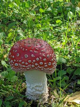 , Talkeetna Alaska, United States Of America