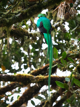 , Costa Rica, Costa Rica