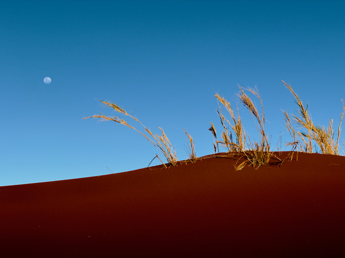 , Namib Desert, ‎⁨⁨Namib Naukluft National Park⁩, Namibia