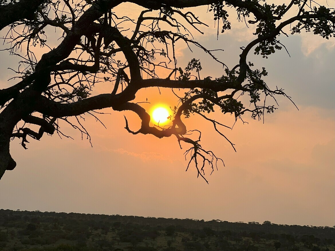 , Maasai Mara Game Reserve, Kenya
