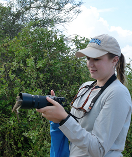 Galapagos Flycatcher and human, Floreana, Galapagos, Ecuador, Ecuador
