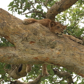 Cropped img 3530