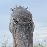 Cropped img 4822